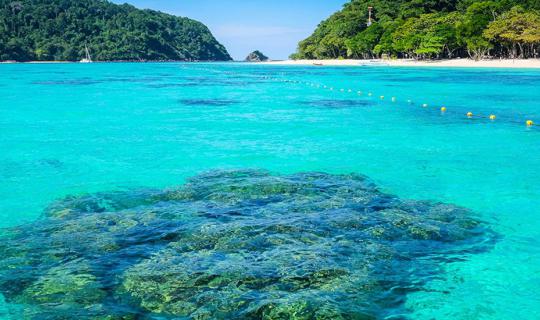 cover ★★★ เกาะรอก เธอหลอกให้ผมรัก ★★★