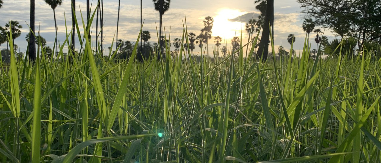 cover What impressed me most at Tham Rong Community (Phetchaburi Province)