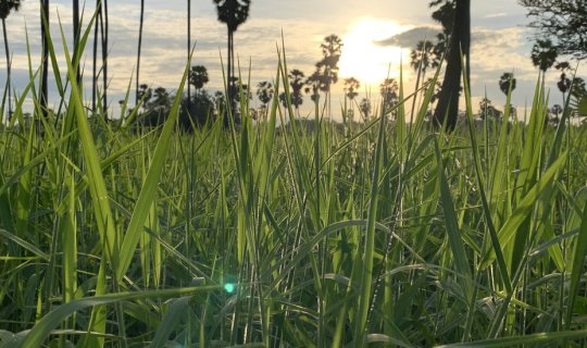 Cover What impressed me most at Tham Rong Community (Phetchaburi Province...
