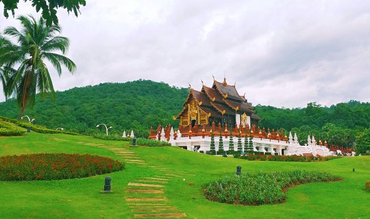 cover ชมอุทยานหลวงราชพฤกษ์หน้าฝน Royal Park Rajapruck In Rainy Season ^^