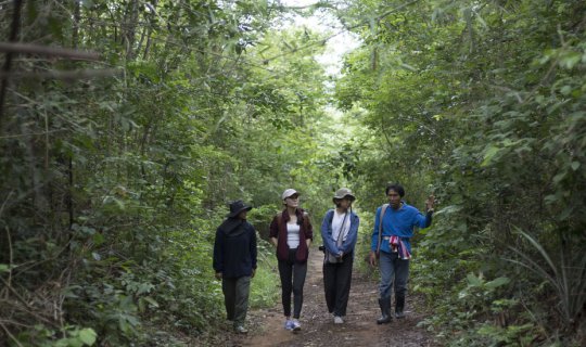 Cover Forest Tour in Ban Phu's Kok Noi Forests...
