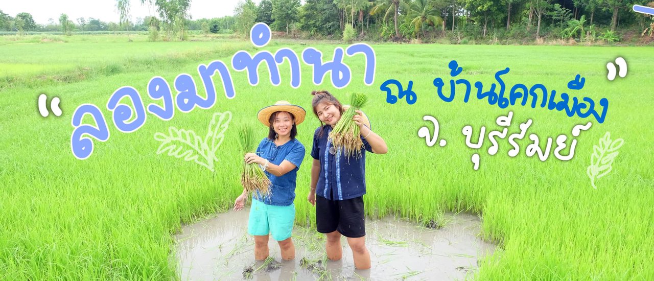 cover ลองมาทำนา ณ บ้านโคกเมือง บุรีรัมย์