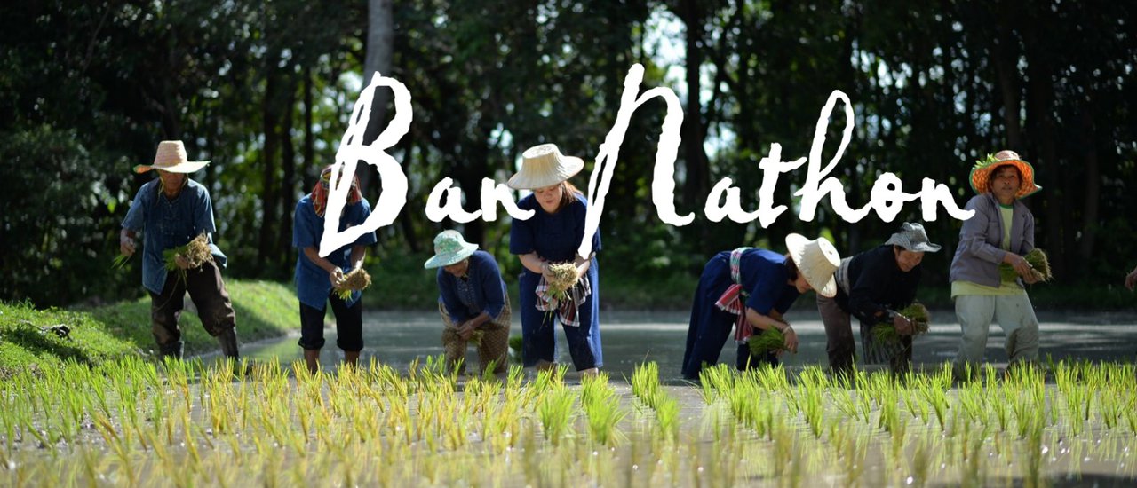 cover ท่องเที่ยววิถีเกษตรอินทรีย์ ดำนาข้าวไรซ์เบอร์รี่ เก็บผักปลายนา หาปลา ทำกับข้าว ปลูกยางนา ที่บ้านนาถ่อน นครพนม