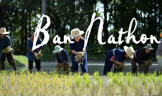 cover ท่องเที่ยววิถีเกษตรอินทรีย์ ดำนาข้าวไรซ์เบอร์รี่ เก็บผักปลายนา หาปลา ทำกับข้าว ปลูกยางนา ที่บ้านนาถ่อน นครพนม