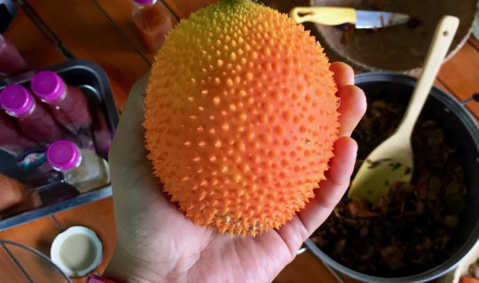 Cover Baby Jackfruit and Karonda Juice...