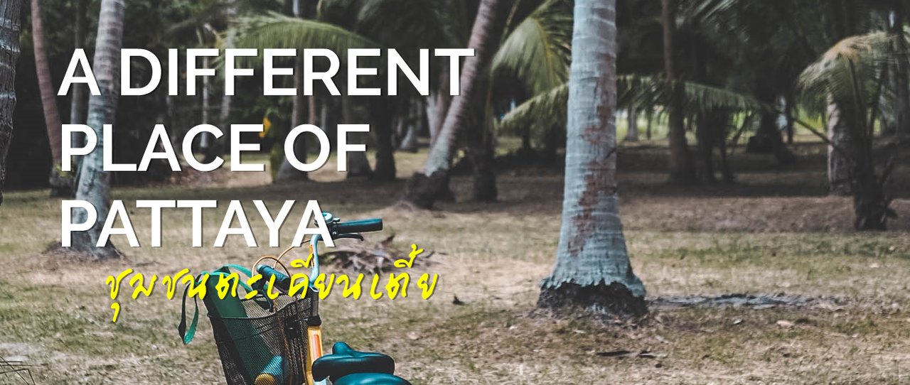 cover พัทยาที่ไม่ได้มีแต่ทะเล - พาชมเส้นทางมะพร้าวกันที่ "ชุมชนตะเคียนเตี้ย"