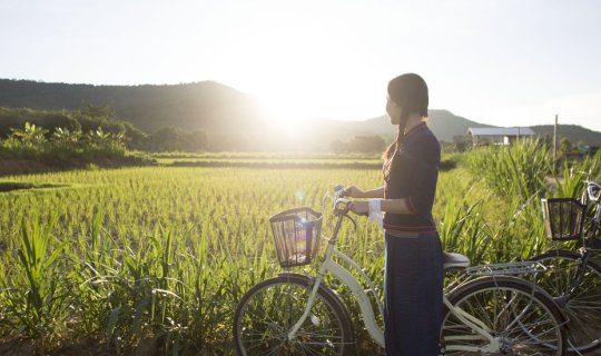 cover (Full Blog) Why I Fell in Love with Ban Phu