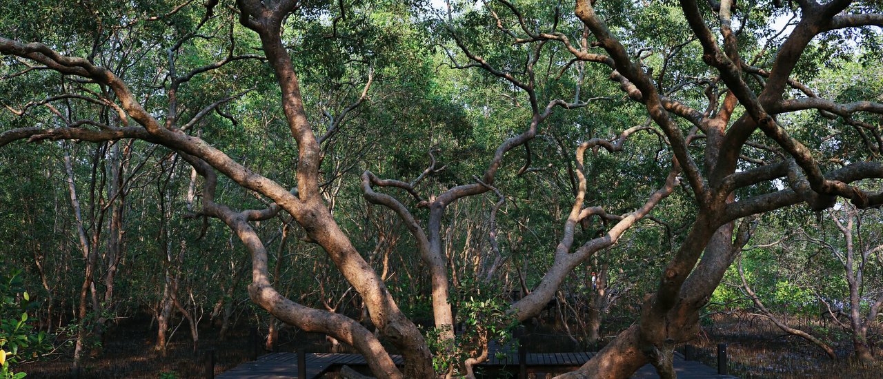 cover เพราะประแส ไม่ได้มีแต่ทุ่งโปร่งทอง : เที่ยวชุมชนปากน้ำประแส จ.ระยอง 2วัน 1คืน ด้วยงบ 1,000 นิดๆ