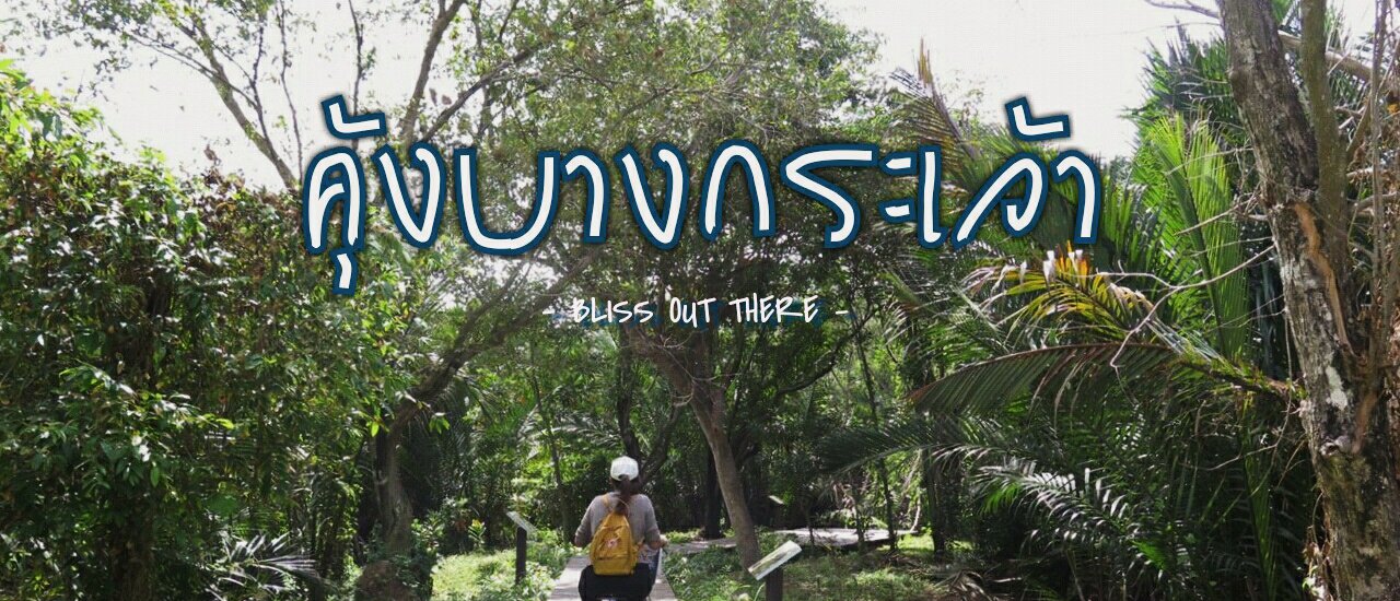 cover 400 บาท กับการปั่นจักรยาน สูดอากาศบริสุทธิ์ ที่ คุ้งบางกระเจ้า จ.สมุทรปราการ แหล่งผลิตโอโซนอันดับ 7 ของโลก