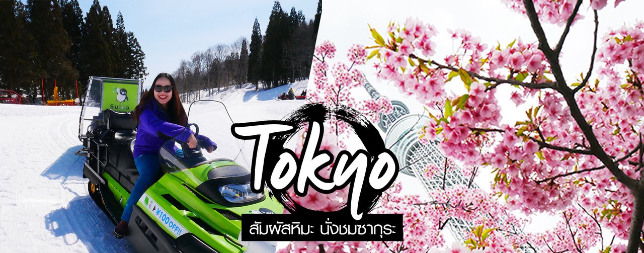 cover เที่ยวญี่ปุ่น โตเกียว 2019 สัมผัสหิมะ นั่งชมซากุระ Tokyo and Gala Yuzawa
