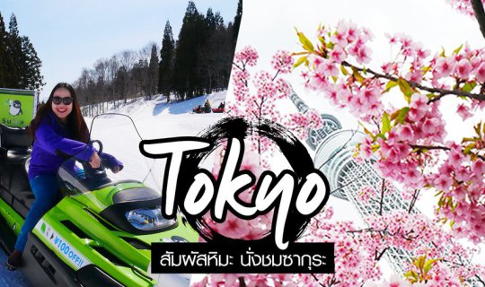 Cover เที่ยวญี่ปุ่น โตเกียว 2019 สัมผัสหิมะ นั่งชมซากุระ Tokyo and Gala Yu...