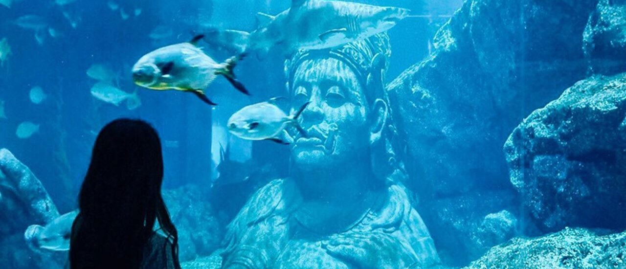 cover พาแม่เที่ยวที่ี Sea Life Bangkok Ocean World