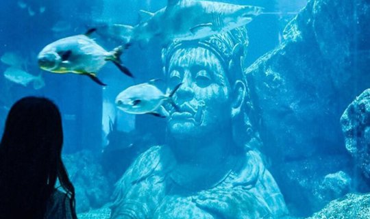 cover พาแม่เที่ยวที่ี Sea Life Bangkok Ocean World