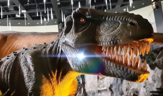 cover ตะลุยแดนไดโนเสาร์ โลกล้านปี