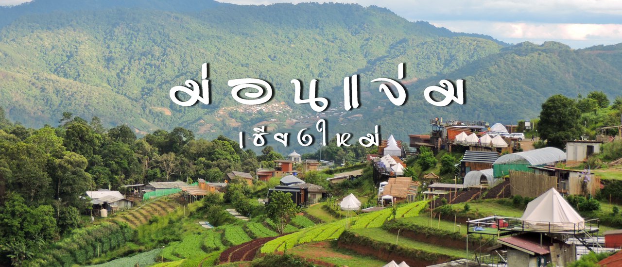 cover ม่อนแจ่ม