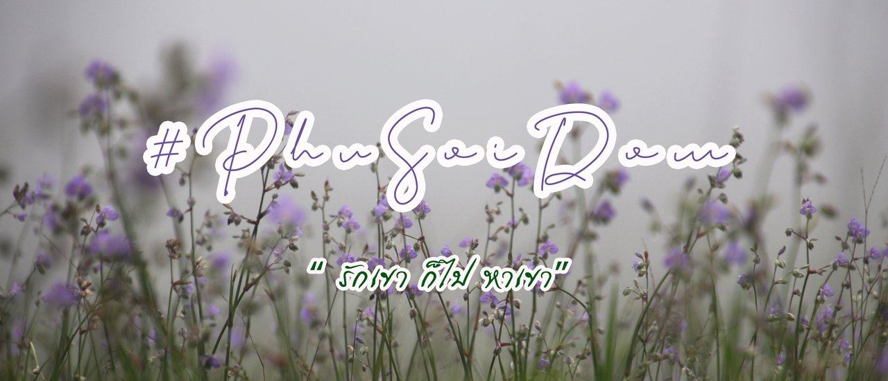 cover ภูสอยดาว "รักเขา ก็ไป หาเขา"