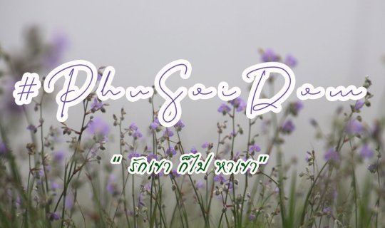 cover ภูสอยดาว "รักเขา ก็ไป หาเขา"