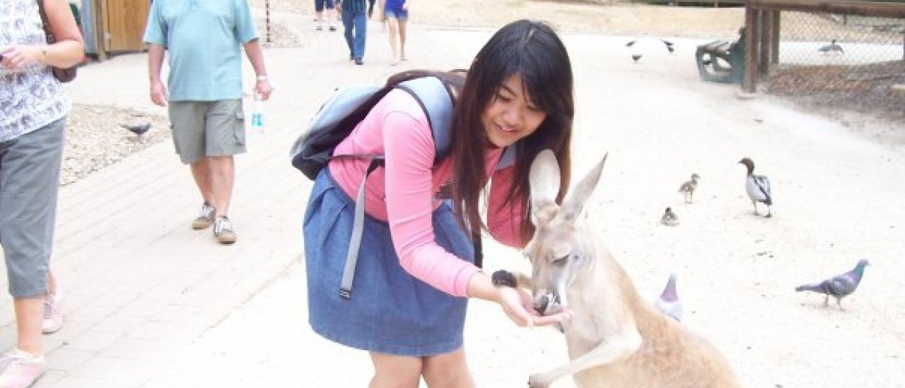 cover AUSTRALIA: Currumbin Wildlife Sanctuary