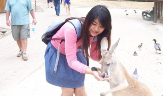 Cover AUSTRALIA: Currumbin Wildlife Sanctuary...