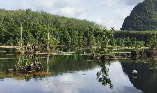 Cover Hidden Kayaking place in Krabi...