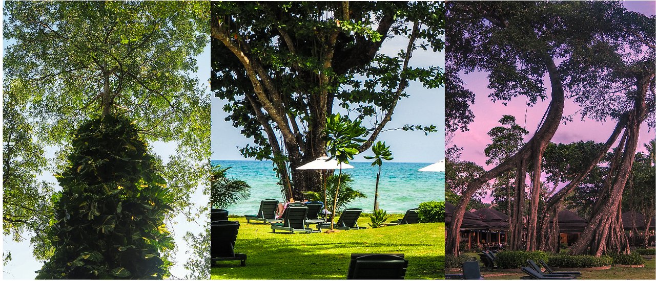 cover กิน เที่ยวภูเก็ต - พังงา 2 วัน 1 คืน ร่มรื่นไปกับธรรมชาติที่เขาหลักเมอร์ลินรีสอร์ท