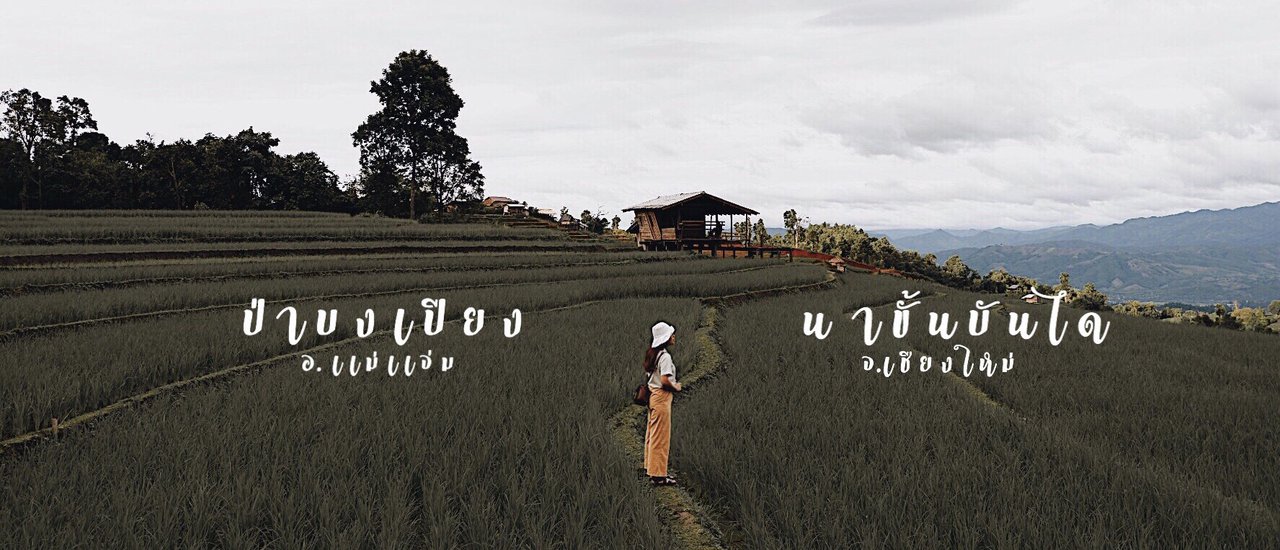 cover ช่วงเวลานาขั้นบันได  บ้านป่าบงเปียง  อ.แม่แจ่ม  จ.เชียงใหม่