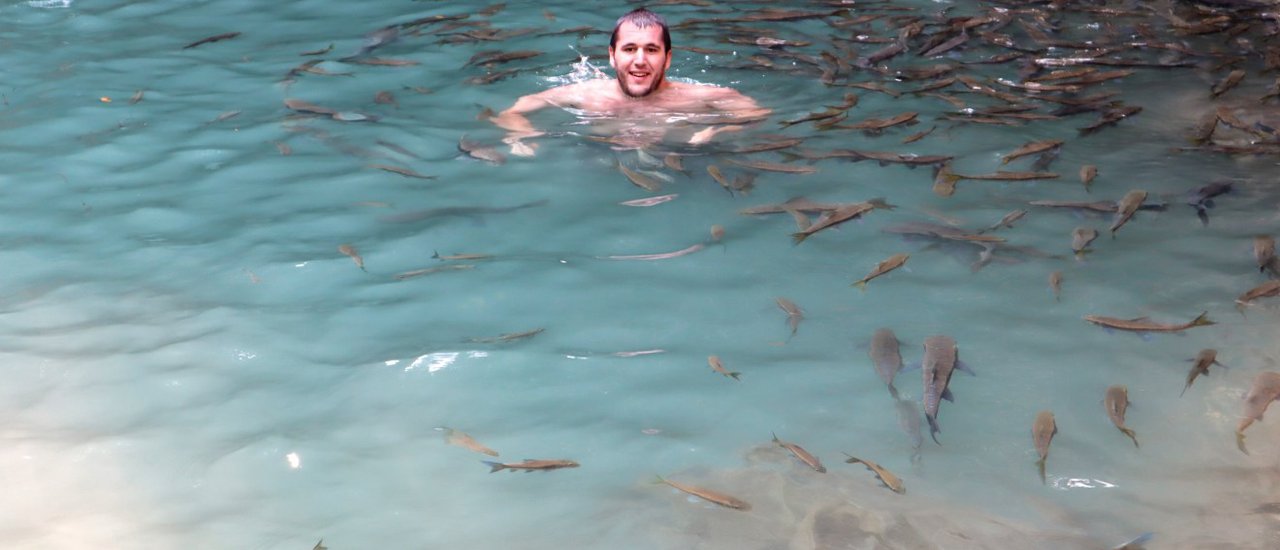 cover THOSE FISH GONNA EAT YOU RAW | ERAWAN WATERFALLS