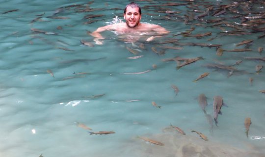 cover THOSE FISH GONNA EAT YOU RAW | ERAWAN WATERFALLS