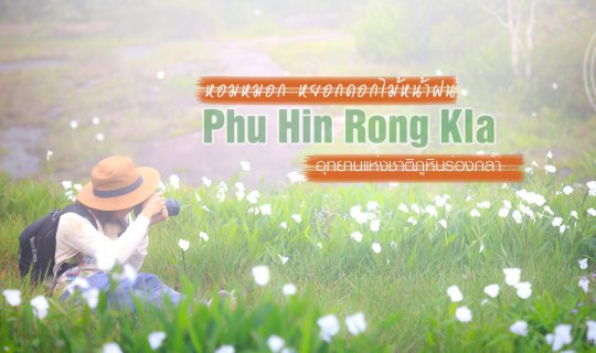 cover สายหมอก/ดอกไม้/น้ำตก นี่คือเสน่ห์ฤดูฝนที่ "ภูหินร่องกล้า" ใครมาแล้วจะหลงรัก