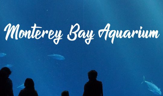Cover พามาชมพิพิธภัณฑ์สัตว์น้ำมอนเทอเรย์เบย์ (Montery Bay Aquarium, Califo...