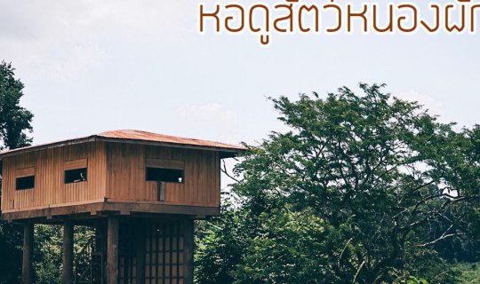 Cover หอดูสัตว์หนองผักชี อุทยานแห่งชาติเขาใหญ่...