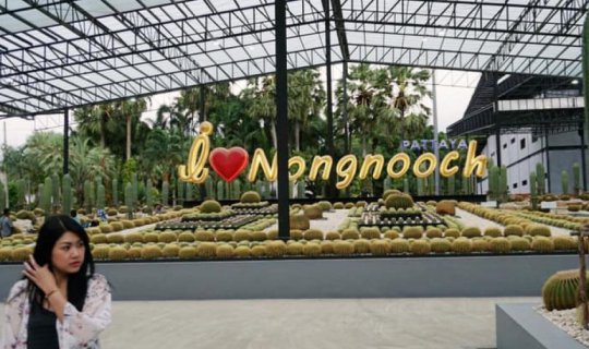 Cover สวนนงนุช พัทยา: โฉมใหม่ ไฉไลกว่าเดิม เพิ่มเติมคือลานไดโนเสาร์...