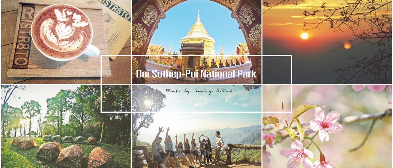 cover ตามล่าหาพี่เสือชมพู ณ ขุนช่างเคี่ยน