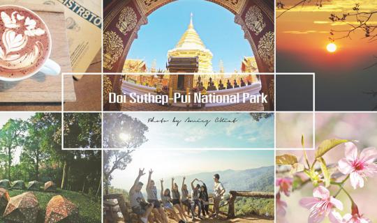 Cover ตามล่าหาพี่เสือชมพู ณ ขุนช่างเคี่ยน...