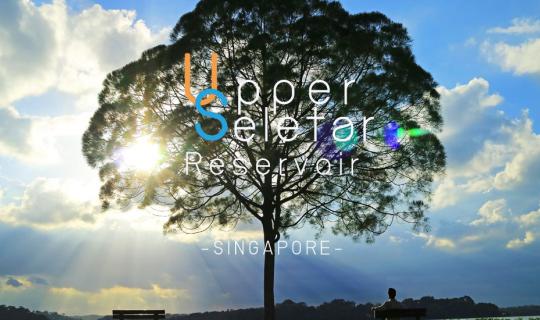 cover สิงคโปร์ไม่ได้มีแค่สิงโตพ่นน้ำ ตอนที่ 2 :: Lone tree ที่ Upper Seletar Reservoir Park
