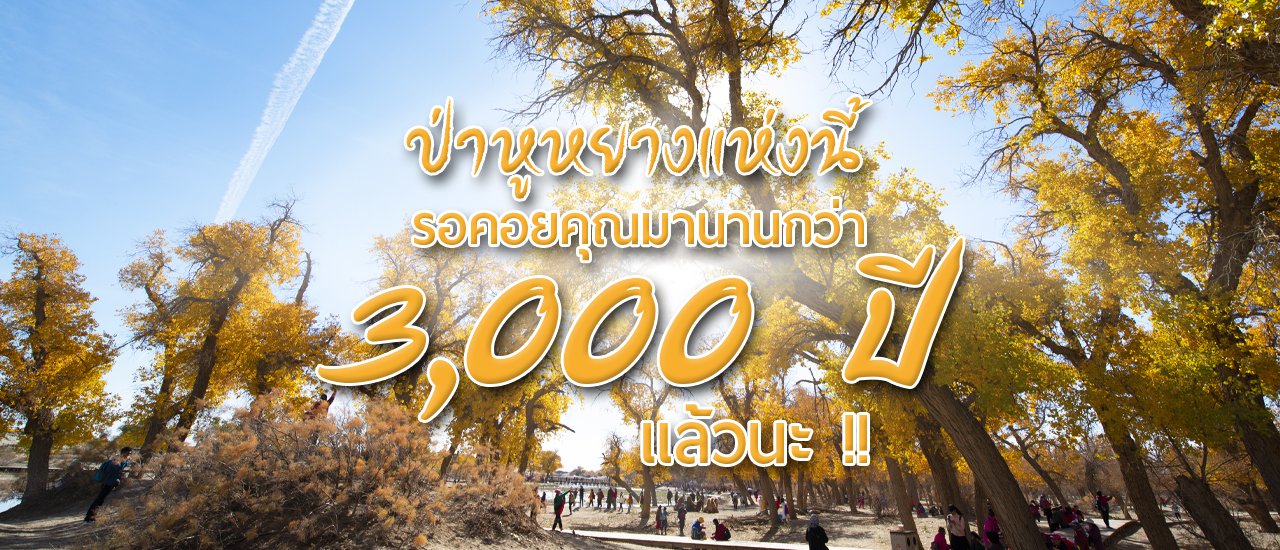 cover ครั้งหนึ่งในชีวิต..ไปพิชิตป่าหูหยาง