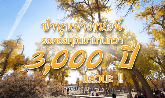 Cover ครั้งหนึ่งในชีวิต..ไปพิชิตป่าหูหยาง...