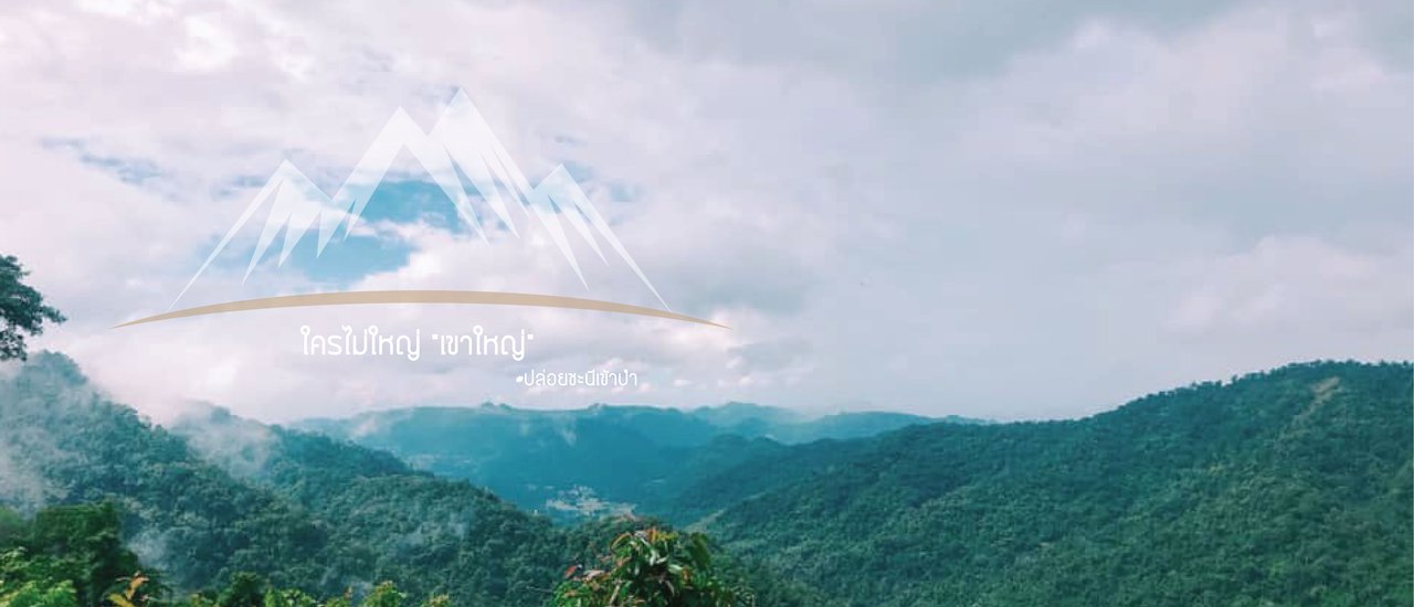 cover ใครไม่ใหญ่ "เขาใหญ่" ปล่อยชะนีเข้าป่า 2 วัน 1 คืน