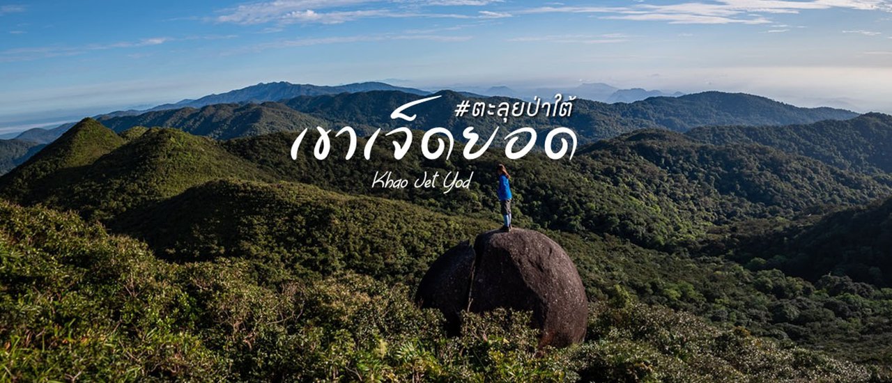 cover ตะลุยป่าใต้ เขาเจ็ดยอด