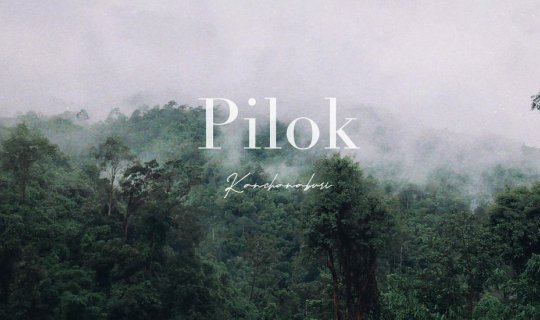 cover Pilok, the Land of Fog