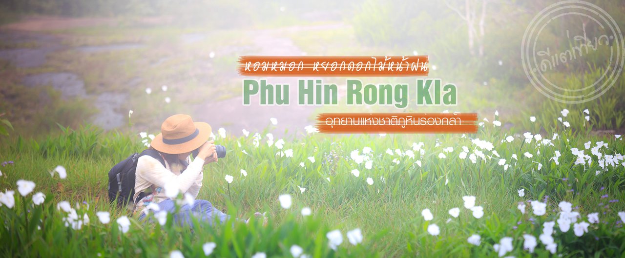 cover Fog, Flower, Waterfall -- the Charm of Rainy Season at "Phu Hin Rong Kla" that you will fall in love in no time