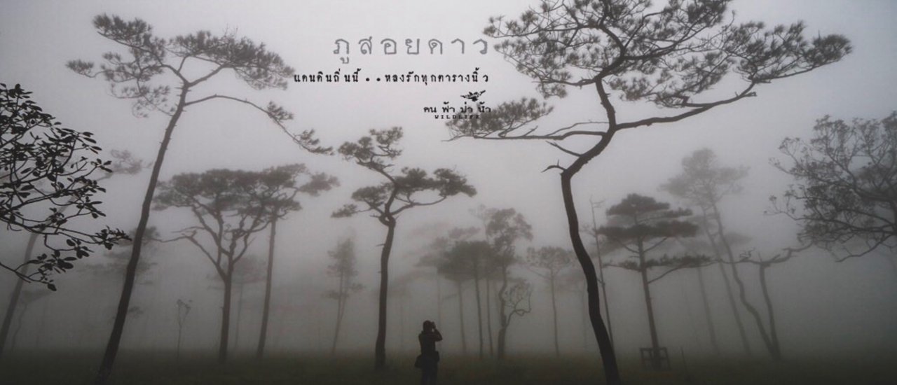 cover ภูสอยดาว แดนดินนี้พี่รักจริงจัง…