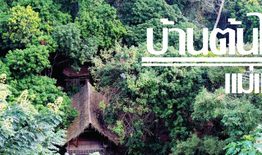 Cover ดีดี ที่เชียงใหม่ "บ้านต้นไม้แม่แมะ"...