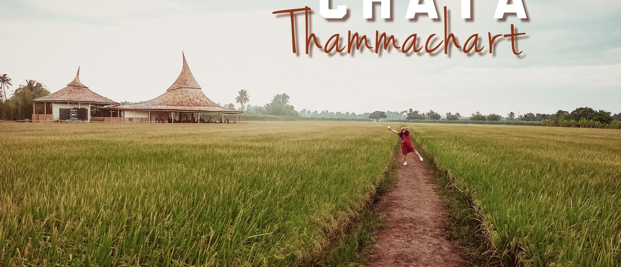 cover สโลไลฟ์กลางทุ่งนาและรวงข้าวสีทอง ที่ Chata Thammachart