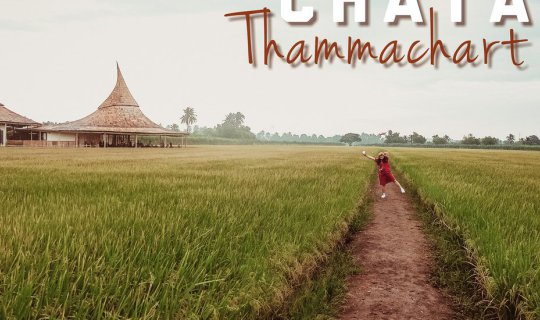 cover สโลไลฟ์กลางทุ่งนาและรวงข้าวสีทอง ที่ Chata Thammachart