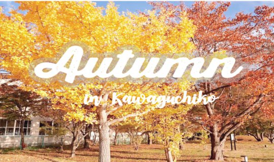 Cover autumn in kawaguchiko🍂🍁 พาดูใบไม้เปลี่ยนสี ที่ทะเลสาบคาวากุชิโกะ (...