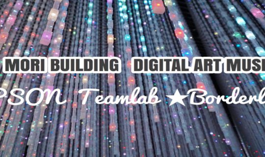 cover ชวนเที่ยว TeamLab Borderless พิพิธภัณฑ์ศิลปะดิจิตอล ใครยังไม่รู้จักห้ามพลาด!!