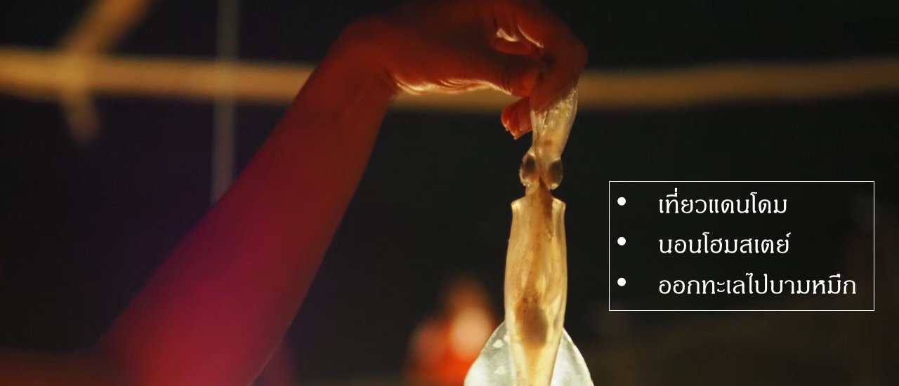 cover บามหมึกที่แดนโดม โฮมสเตย์