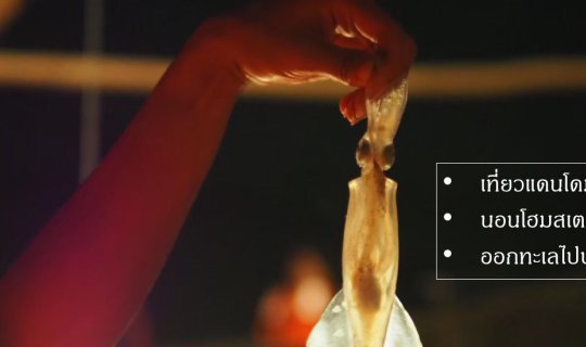 cover บามหมึกที่แดนโดม โฮมสเตย์