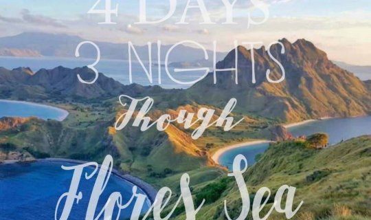 cover 19 DAYS IN INDONESIA - PART FOUR : 4 DAYS 3 NIGHTS CRUISING ALONG "FLORES SEA"